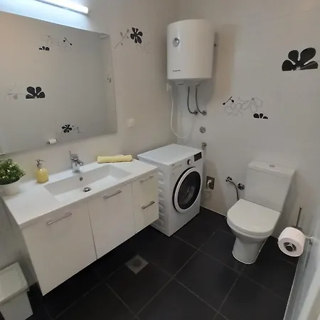 Olive Tree Zecevo Rogoznica (Sibenik-Knin)