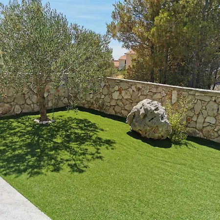 Olive Tree Zecevo