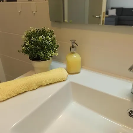 Olive Tree Zecevo Apartman