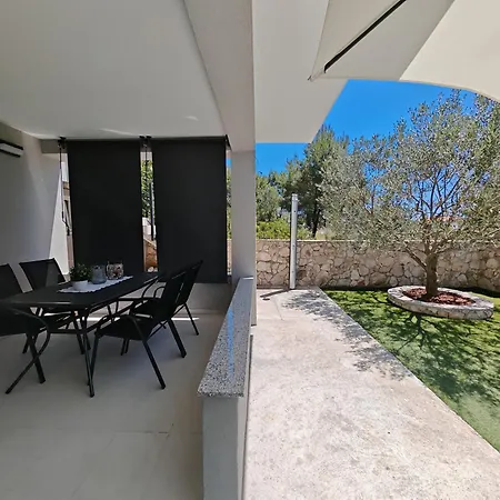 Olive Tree Zecevo Rogoznica (Sibenik-Knin)