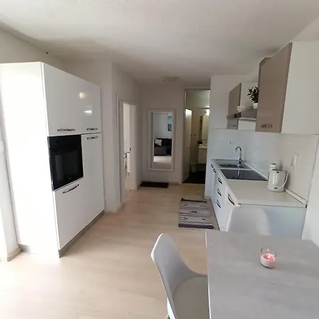 Olive Tree Zecevo Rogoznica (Sibenik-Knin)