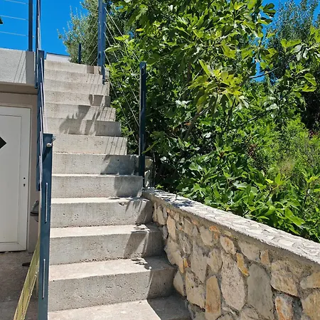 Apartment Olive Tree Zecevo *